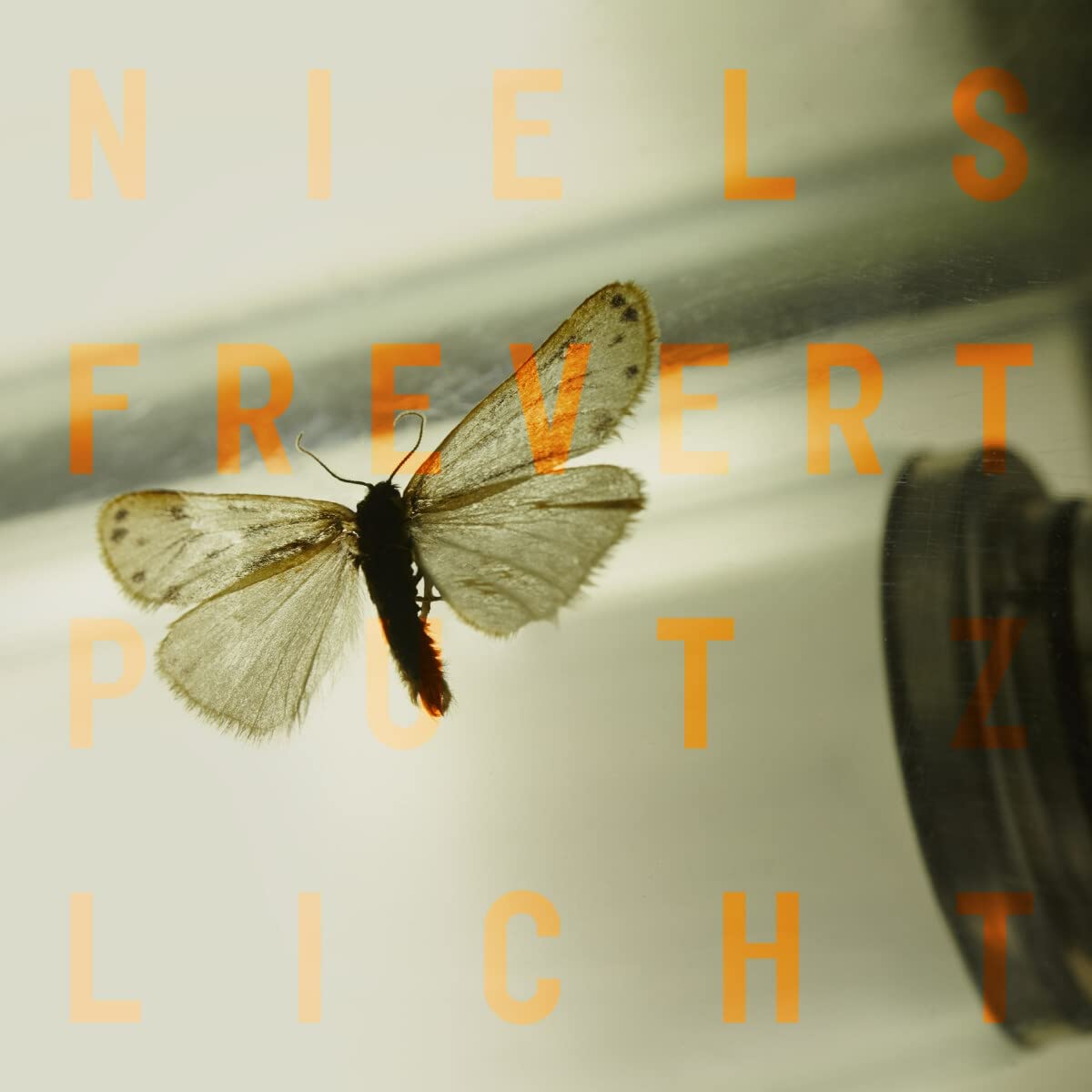 Putzlicht (Schwarzes 180g Vinyl) [VINYL]