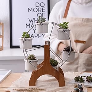 Succulent Planter Set Indoor Plant Pot Ferris Wheel Plant Stand with 6 Pots Succulent Planter Set Indoor Plant Pot Ferris Wheel Plant Stand with 6 Pots
