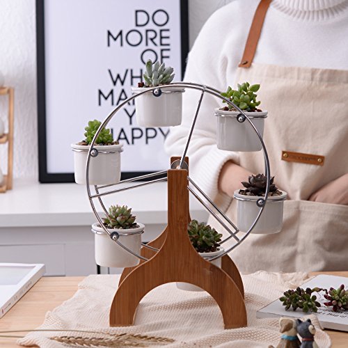 Succulent-Planter-Set-Indoor-Plant-Pot-Ferris-Wheel-Plant-Stand-with-6-Pots Succulent Planter Set Indoor Plant Pot Ferris Wheel Plant Stand with 6 Pots