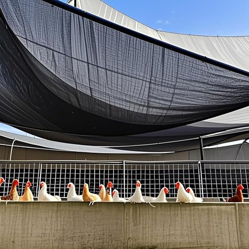 Image of winemana Black Shade Cloth 90%, 30x50 FT Mesh Tarp - Garden Shade for Greenhouse, Patio, Vegetables, Plants Cover and Chicken Coops, Sunshade Net for Outdoor Protection with Reinforced Grommets