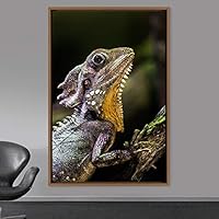 Framed Canvas Wall Art Reptile Contemporary Dramatic Hallway Iguana Multicolor Photography Reptiles - 16x24 inches