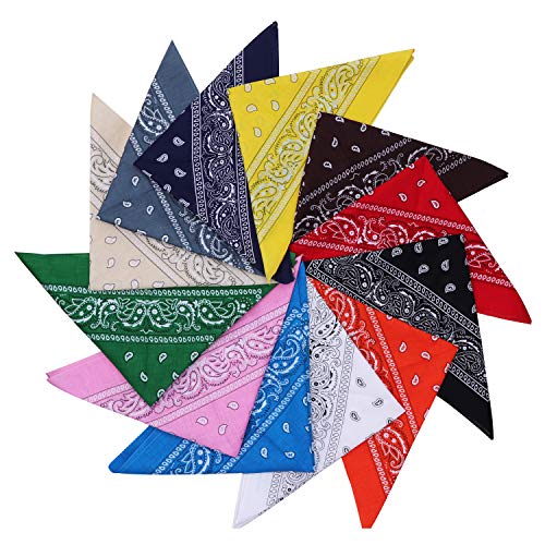 Gesorteerde Bandana Sjaals - Divers Ontworpen Bandanas Voor Hoofd en Nek Sjaals, Huisdieren, Haar en Tas Accesoires, Sjieke Rok en Meer – 12 Stuks Grote Katoennen Sjaals – Mannen, Vrouwen en Kinderen