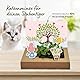 Tool & Tree mini-Garten Katzenminze – Pop-Up DIY Garten Set für Katzenliebhaber & Familien – inkl. Katzenminze-Saatgut, Anzuchtschale & Bastel-Deko – nachhaltiges Geschenkidee für kreative Köpfe