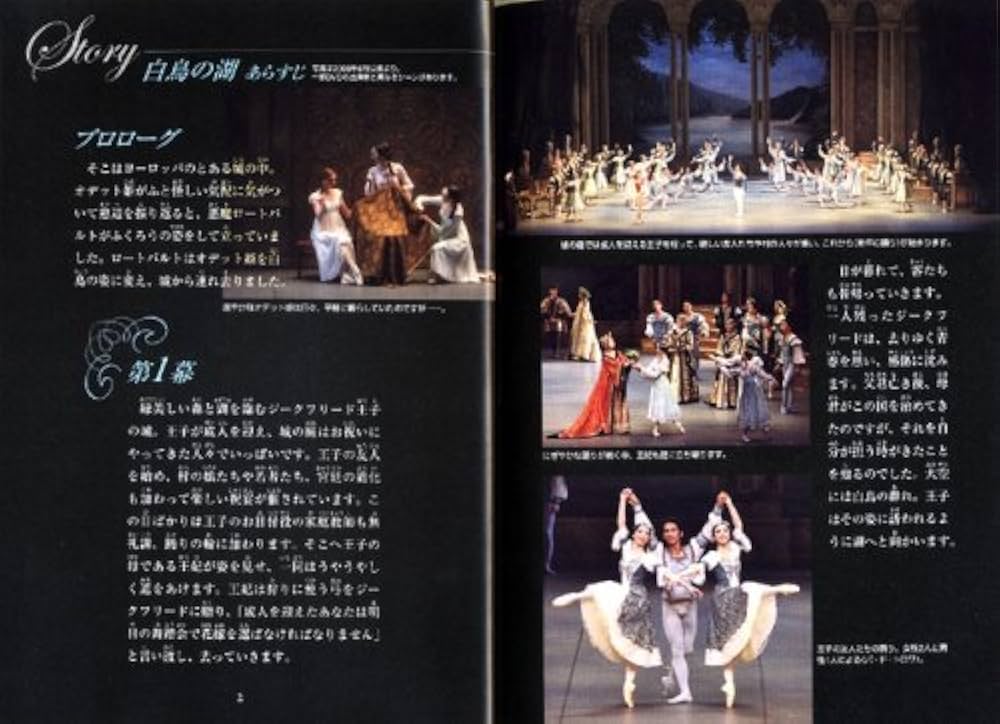 白鳥の湖 SWAN LAKE 新国立劇場バレエ団オフィシャルDVD BOOKS