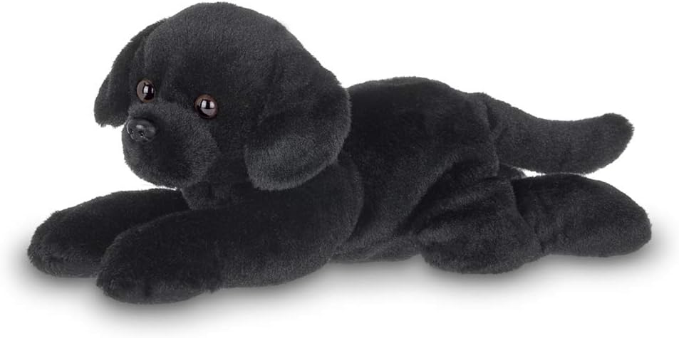 black labrador teddy