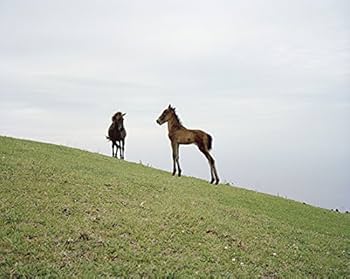 写真集　シャルロット　デュマ　Work Horse Stay - BOOK AND SONS オンラインストア