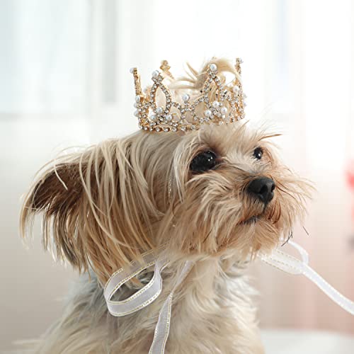Lovelyshop Die phallenkollektion vergoldeten royal Saury-perlen mit volldressierten Hunden und Katzen Haarschmuck in X klein