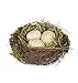 Sullivans 4" Replica Bird's Nest with Yellow Spotted Eggs