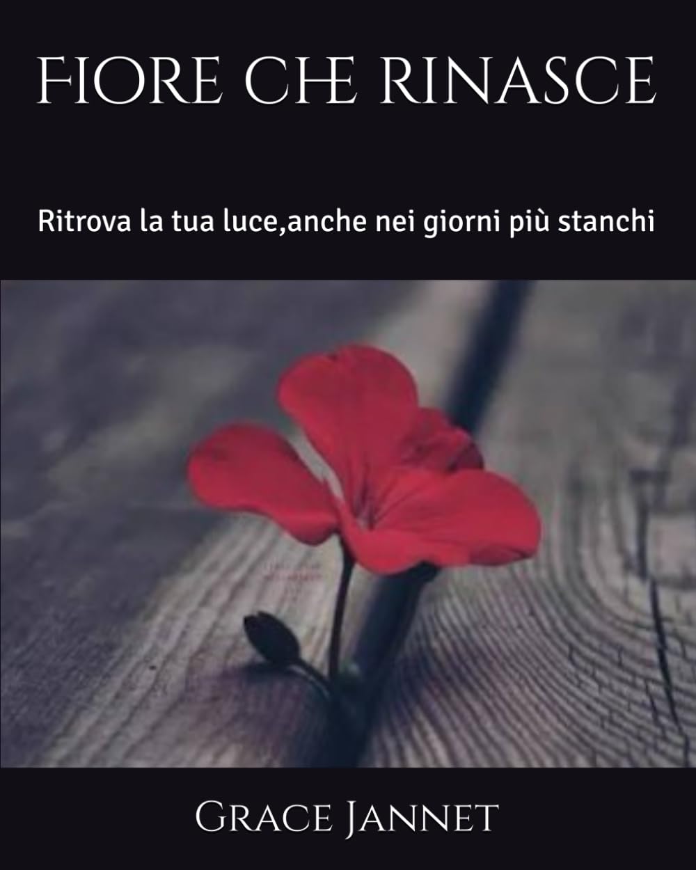 Fiore che rinasce: Ritrova la tua luce,anche nei giorni più stanchi