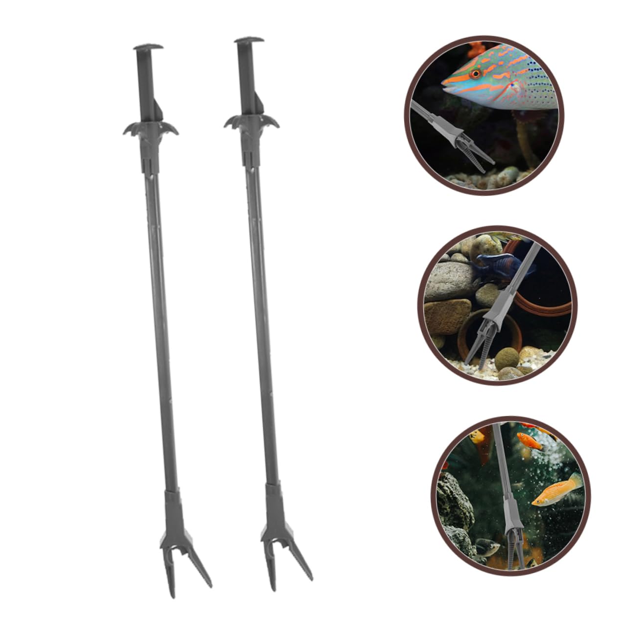 BESPORTBLE Lot de 2 pinces à plantes aquatiques - Accessoires d'aquarium - Pince en plastique - Avec outil de plantation d'aquarium - Gris foncé