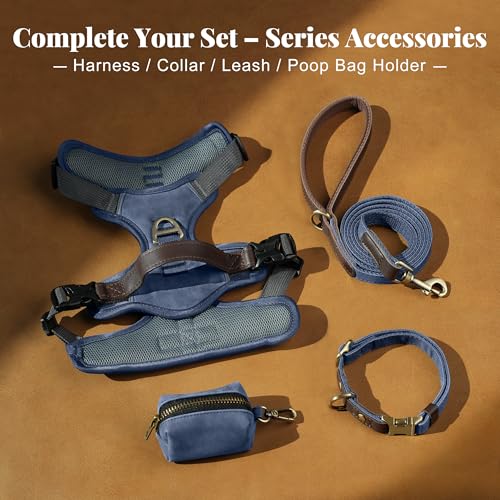 Image of Didog No Pull Dog Harness for Small Dogs, Classic PU Leather, Blue, S
