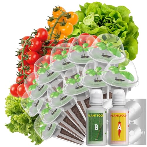 LYKO Low-Calorie Salad Seed Pods for AeroGarden, Ahopegarden, iDOO Hydroponics Growing System, 350 Seeds+ Including American Fast Lettuce, Buttercrunch Lettuce, Red Tomato, Golden Tomato (12-Pods)