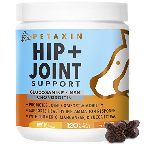 Petaxin Glucosamine for Dogs - Advanced Hip and Joint Supplement - Support for Dog Joint Pain Relief and Dog Mobility - with Chondroitin, MSM, Turmeric, & Yucca - 120 Soft Chews