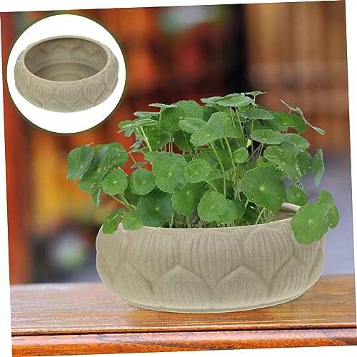 Pot de fleurs céramique forme de jonquille pour réussir vos plantations sans fuite - 7