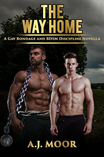 The Way Home: A Gay Bondage and BDSM Discipline Novella