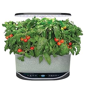 Aerogardensalsagardenseedpodkit9pod Urban Country Home Decor Aerogarden salsa garden seed pod kit 9 pod urban country home decor