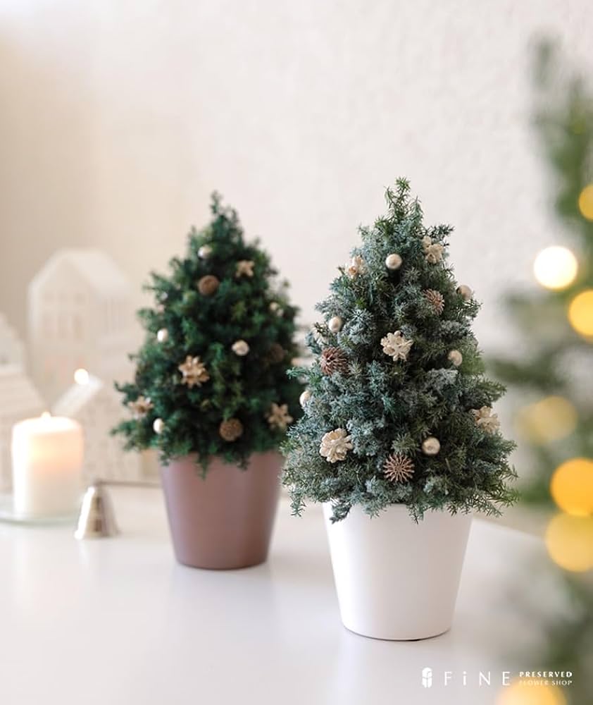 Amazon|プリザーブドフラワーFiNE プリザーブドフラワー クリスマス Amazon|プリザーブドフラワーFiNE プリザーブドフラワー クリスマス