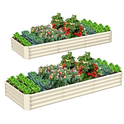 Tramull 2 Packs Galvanized Raised Garden Bed Large Metal Elevated Planter Box Kit for Outdoor Vegetable Flower Herb Rectangular Steel Bottomless Frame Gardening Patio Decors (Ivory White, 8X3X1 FT)