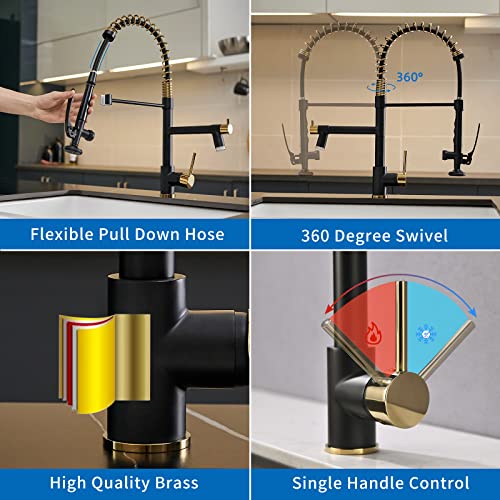 Fapully Led Kitchen Faucet With Pull Down Sprayer,Black&Gold Commercial Kitchen Faucet For Kitchen Sink #TOP3