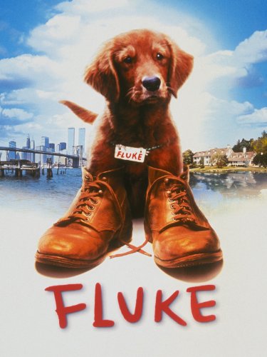 Fluke