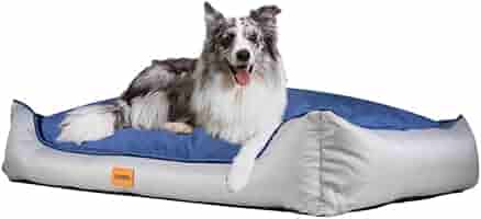 Cuccia Per Cani Taglia Grande BRUP&Agrave; - Impermeabile, Lavabile E Anti-Graffi Per Interni Ed Esterni