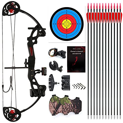 Lanneret Compound Bow and Archery Sets - Right Hand Archery Compound Bows 15-29 lbs Draw Weight Adjustable for Youth and Beginners，Hunting Bow Kit for Beginner by Lanneret - Used condition - CA$98.23