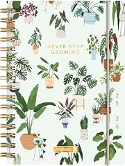 BRUNNEN Schülerkalender (2025/2026) "Little Plants", 1 Seite = 1 Tag, A5, 352 Seiten, PP-Umschlag, mehrfarbig