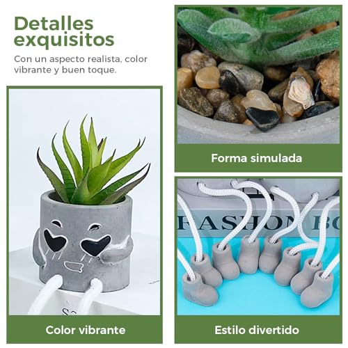 Review de Comprar suculentas los 10 mejores. 41 Imagen adicional