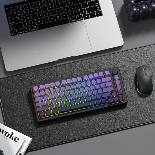 Image of dagaladoo Double Shot PBT keycaps Set,Shine Through keycaps 60% 75%,OEM Profile Keyboard keycaps,Gradient Purple,Side Printed keycap for Mechanical Gaming Keyboards(136key)