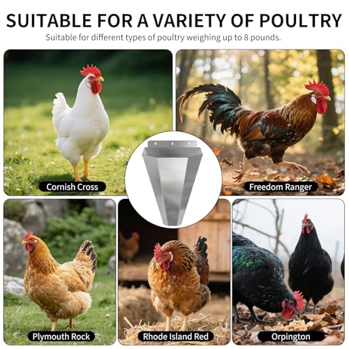 Image of Medium Chicken Kill Cone for Butchering 3-Pack Stainless Steel Killing Cone