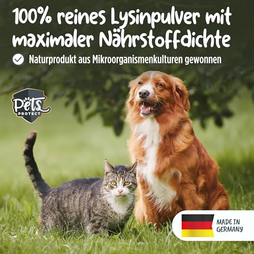Pets Protect 100% reines LYSIN für Katzen & Hunde | 150 g Pulver hochdosiert | Deutsche Herstellung | Zur Vorbeugung & Unterstützung des Immunsystems | Bei Katzenschnupfen | Ohne künstl. Zusätze