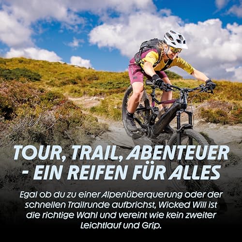 Pneu Schwalbe Wicked Will 29x2,60 Performance Line