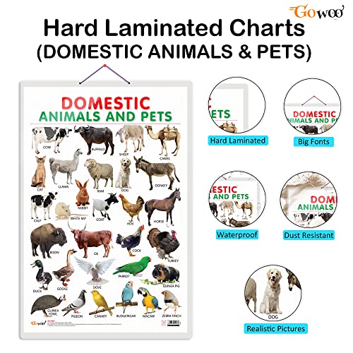 Image of GO WOO Combo of 2 (Alphabet and (Domestic Animals and Pets) Educational Posters for Preschool Kids Classroom Study | Learning- Charts for Kids Learning (20 inchX30 inch Inches)