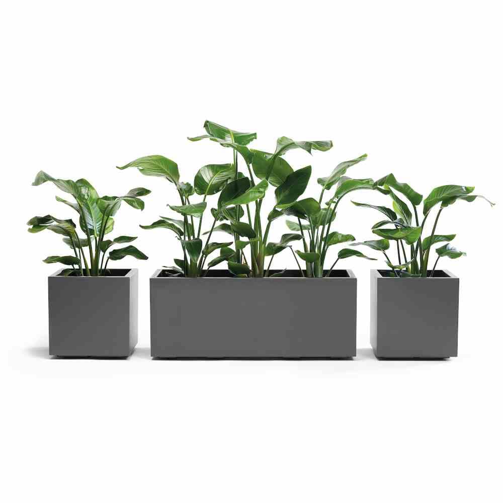 EURO3PLAST Kiste Kebe aus recyceltem Kunststoff mit integriertem Wasserspeicher, 40 cm, Farbe Anthrazit