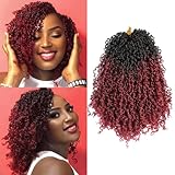 Yanky Twist Crochet Hair 9 Pack(270 Strands Total) Pre loop Pre Twisted Wine Red Braids Crochet Hair,Synthetic Spring Short Passion Twist Crochet Braiding Hair Extensions For Women(TBUG, 12 Inch)