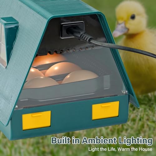 10-20 uova incubatore, incubatori per uova da cova, paletta automatica con regolazione della temperatura Uova-mandler incubatori intelligenti di pollo per pollame schiudere pollo quaglia - immagine 7