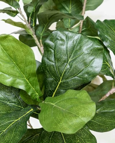 Artificial Fiddle Leaf Fig Tree 6FT - Large Fake Tree with White Planter&Basket, Tall Faux Ficus Lyrata Tree Floor Plants for Indoor Home Decor Office Living Room Housewarming Gift, 1Pack - Image 5
