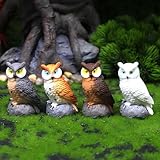 Caractéristiques du design : lot de 4 figurines de hibou détaillées perchées sur des bases en pierre, avec des textures de plumes réalistes et des yeux jaunes frappants