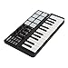 Produktbild Worlde Panda Mini tragbare Mini-25-Key USB-Tastatur und Drum Pad MIDI Controller