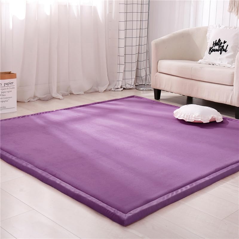 DSSHENGDS Alfombra De Color Sólido Moderno para Sala de Estar,habitación de niños Alfombra Antideslizante Terciopelo de Coral,Lavable de tamaño Extra Alfombra De Arrastre 2cm-H- 80 * 200cm