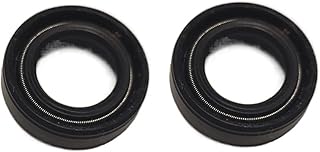 Seal Washer 2pcs Nitrile Covered Double Lip with Garter Oil Seal, TC-12 * 16 * 18 * 19 * 20 * 21 * 22 * 23 * 24 * 25 * 26 * 28 * 30 * 32 * 35 NBR Shaft Oil Seal Gasket Lip (Size : 12.5x32x15mm 2pcs)