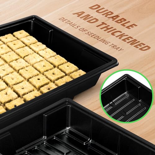 hahalife Rockwool Cubes Set for Hydroponics - Thumbnail 4