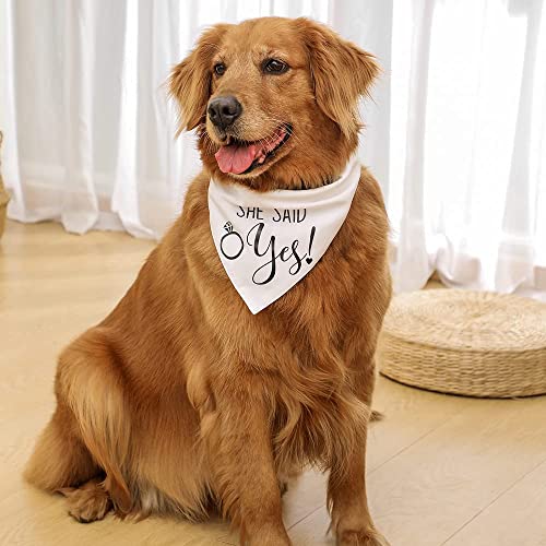 Engagement Gift, My Humans Are Getting Married She Said Yes Dog Bandana, Engagement Announcement Dog Bandana, Dog Wedding Bandana, Engagement Photo Prop, Pet Scarf, Pet Accessories (Black+White) #TOP2