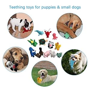 LEGEND SANDY Squeaky Plush Dog Toy Pack for Puppy, Small Stuffed Puppy Chew Toys 12 Dog Toys Bulk with Squeakers, Cute Soft Pet Toy for Small Medium Size Dogs
