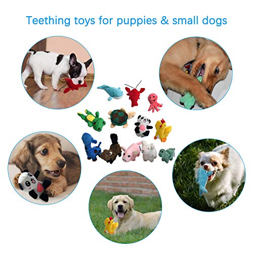 LEGEND SANDY Squeaky Plush Dog Toy Pack for Puppy, Small Stuffed Puppy Chew Toys 12 Dog Toys Bulk with Squeakers, Cute Soft Pet Toy for Small Medium Size Dogs LEGEND SANDY Squeaky Plush Dog Toy Pack for Puppy, Small Stuffed Puppy Chew Toys 12 Dog Toys Bulk with Squeakers, Cute Soft Pet Toy for Small Medium Size Dogs