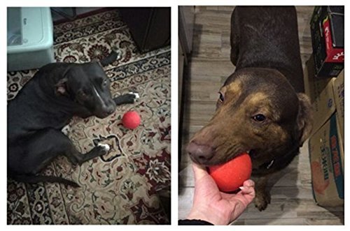 Lxlp Solid Rubber Dog Balls Extreme,Non Toxic Virtually Indestructible Best Chew Toy,Red (Diameter:1.8Inch) #TOP5