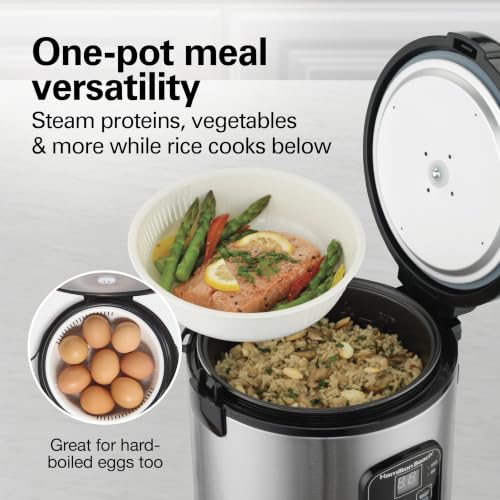 Hamilton Beach Digital Programmable Rice Cooker & Food Steamer, 8 Cups Cooked (4 Uncooked), With Steam & Rinse Basket, Stainless Steel (37518) - image 7