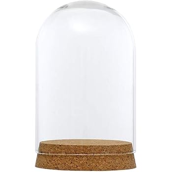 Petsola Decoratif En Verre Clair Dome Cloche Cloche Succulente Terrariums Air Plant Couvre La Conservation De La Fleur Vase Brown A Decor De Table De Noce Vases Ameublement Et Decoration