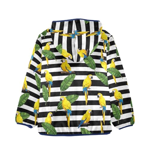 Yellow Parrots Stripes Toddler Boy Winter Jacket Comfy Winter Jacket for Boy 3T2