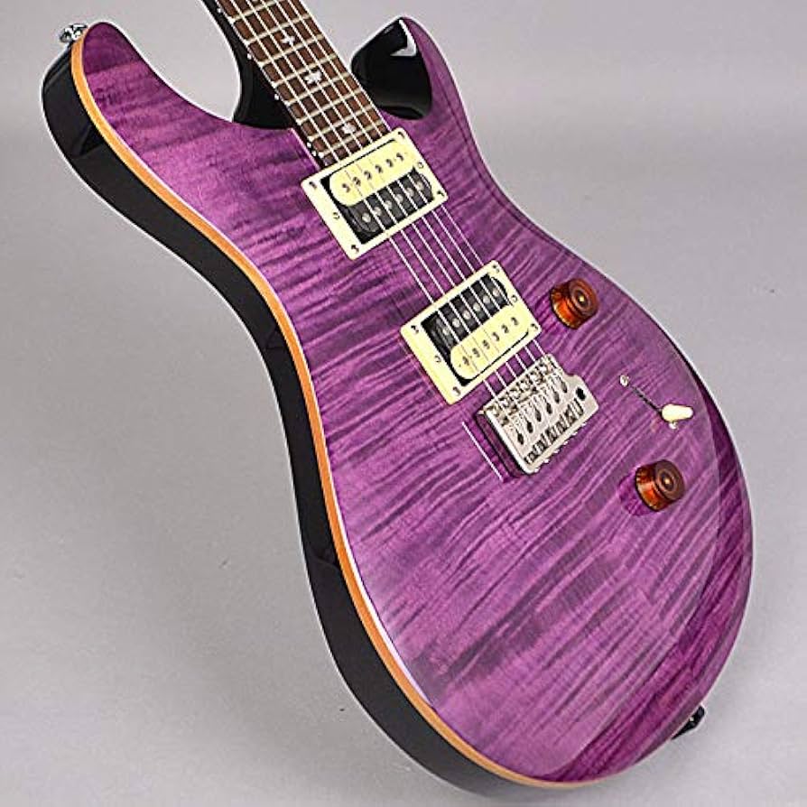 Amazon.co.jp: PRS SE Custom24 N Amethyst Electric Guitar